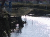 mornac 012